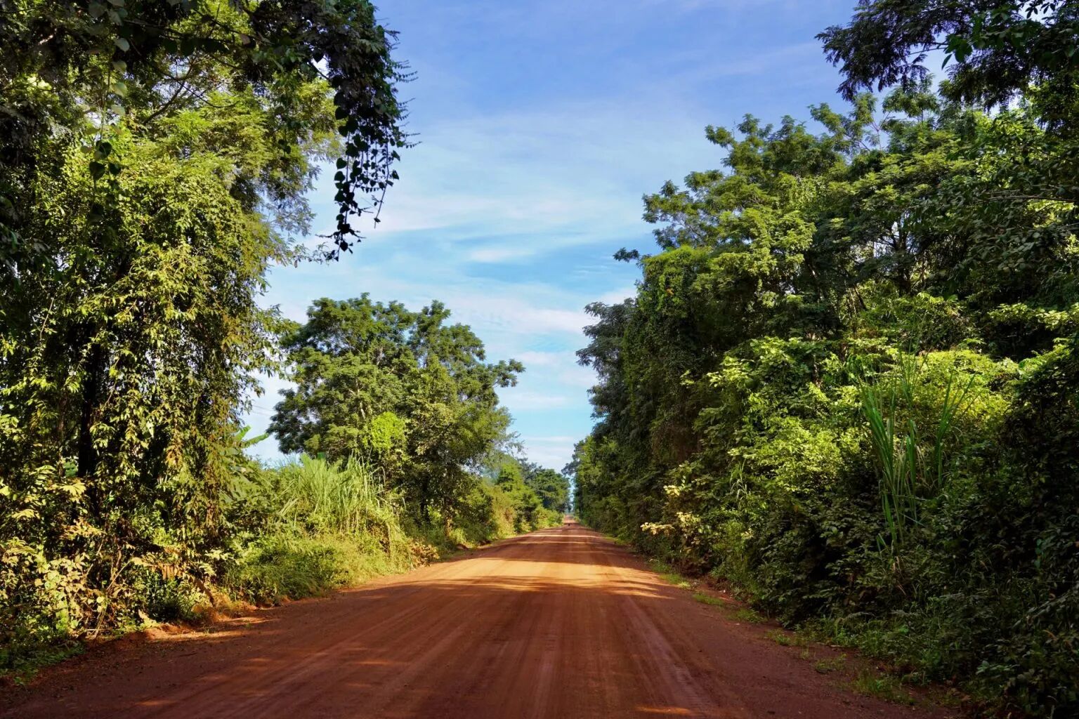Start your cultural journey with Stung Treng’s vibrant glow